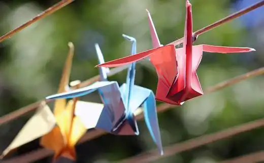 关于千纸鹤的句子,关于千纸鹤浪漫的句子?-语录网