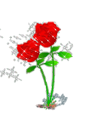 【自制透明gif图片】花草系列04 - 秋思梦景 - 秋思梦景的博客