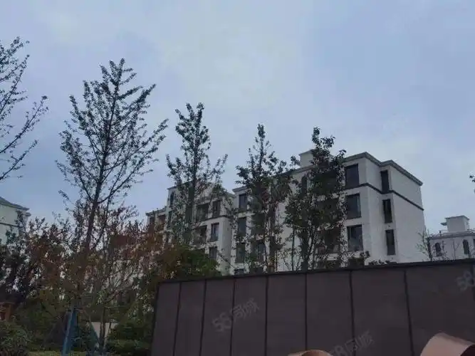 环境舒适拎包入住,兰博路1309弄_奉贤奉城整租房房源-上海58同城租房