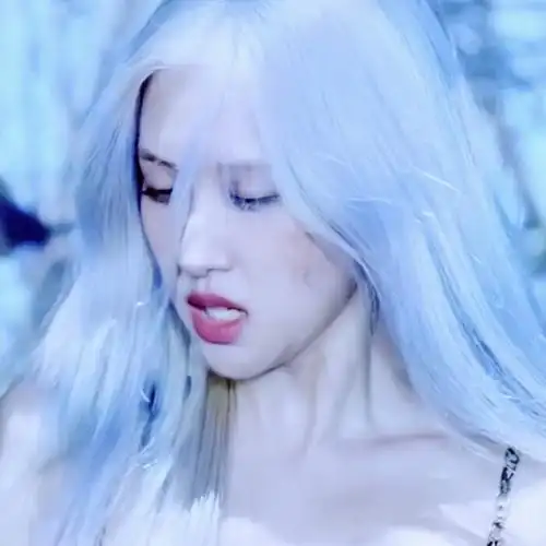 蓝发彩英 新专辑图片 rose//人间野玫瑰