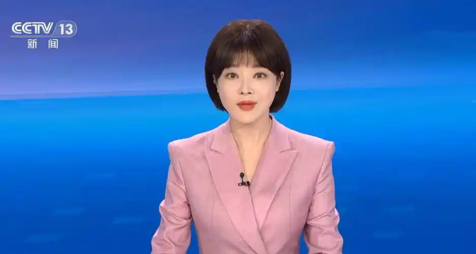 2023年度最佳媒体人物公开,只有一位央视主持人入选_胡蝶_评选_市场