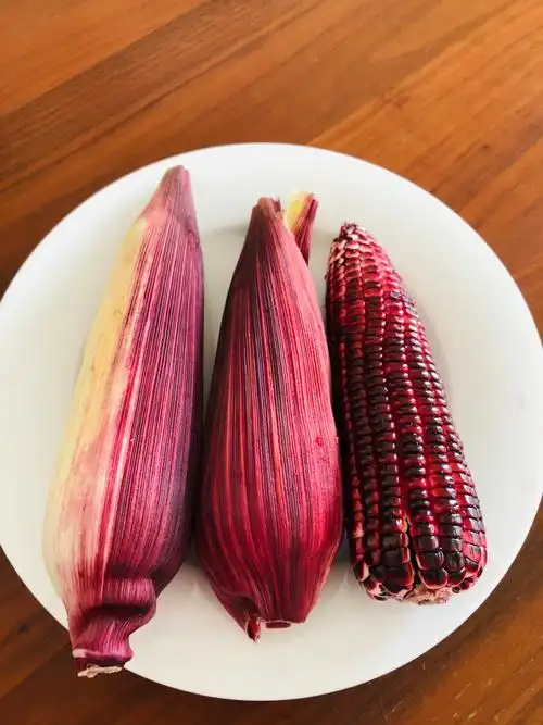 紫玉米