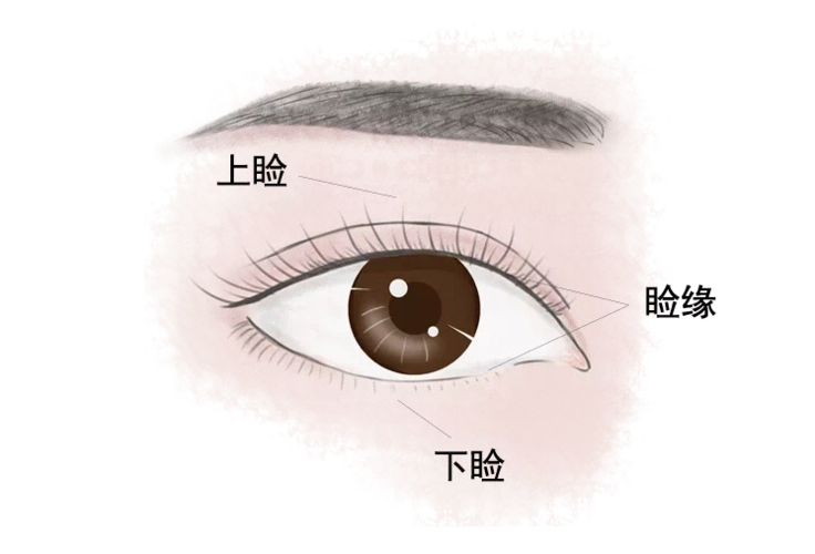 激光切除眼睑肿物,真香_眼睑病_眼睑病治疗方式 - 好大夫在线