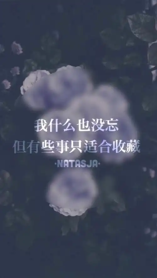 文字图片唯美伤感带字图片