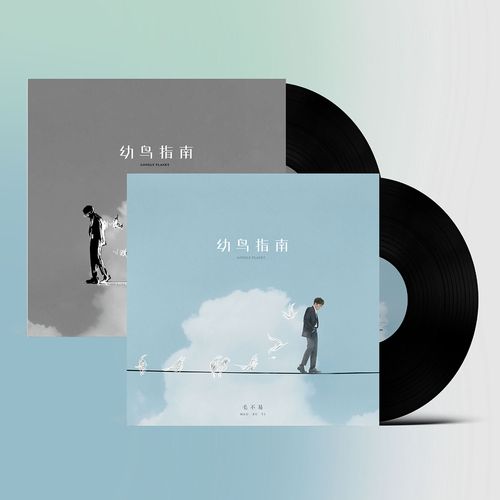 官方正版 毛不易实体专辑《幼鸟指南》lp黑胶唱片 12寸双碟