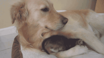 世界这么好,别想不开心的事儿了,找一个温暖的怀抱撒撒娇吧22一个骑