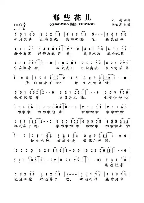 那些花儿朴树词曲