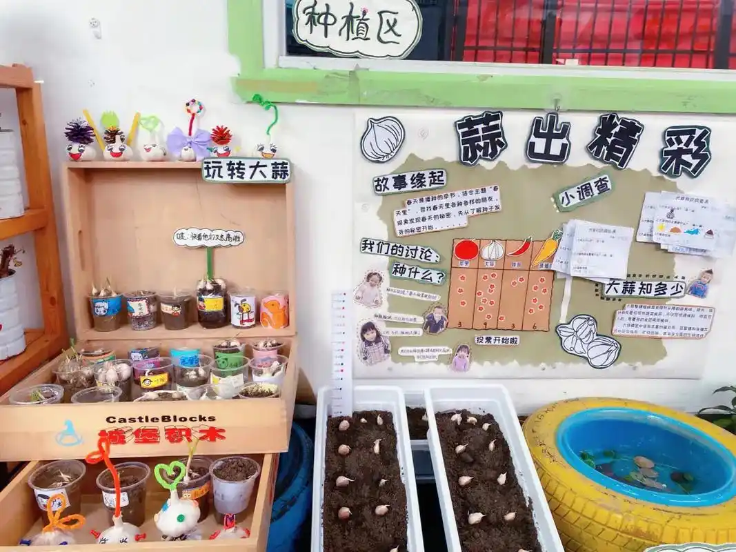 新学期植物角创设【大蒜宝宝种植记】幼儿园植物角#幼儿园环创  - 抖