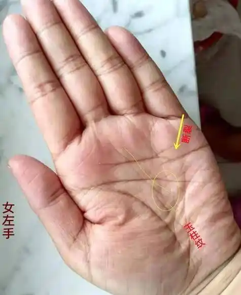 女人什么手相最有福气最好命会越来越富的女人手相水墨先生-卜安居