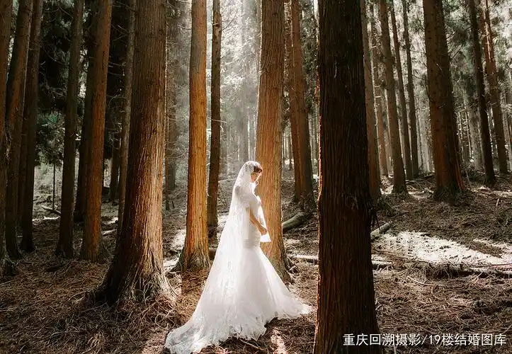 森林系婚礼丨婚纱照