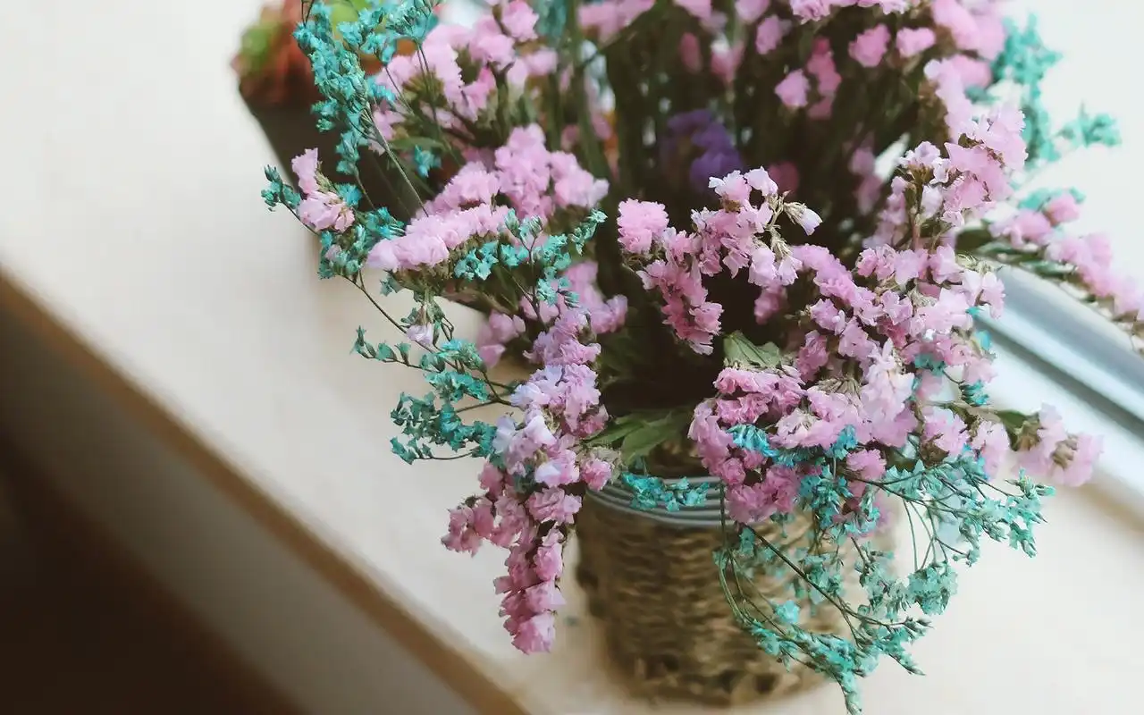 小清新室内唯美静物高清图片壁纸-风格壁纸-手机壁纸下载-美桌网