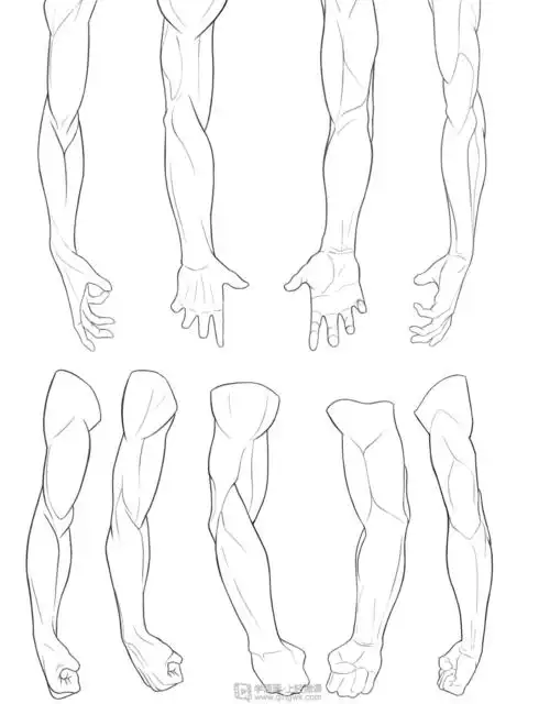 写生手臂人体体块手臂肌肉的练习