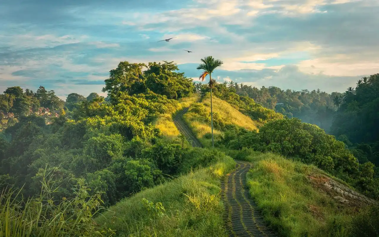 超清唯美自然风光电脑壁纸