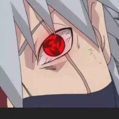 卡卡西的写轮眼.