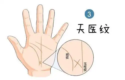 选对职业很重要,教你从手纹看自己适合什么工作