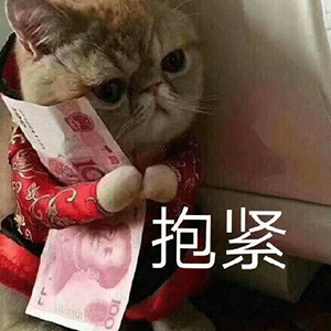 自古深情留不住 唯有套路得人心 天上不会掉馅饼, 切勿有贪 念!