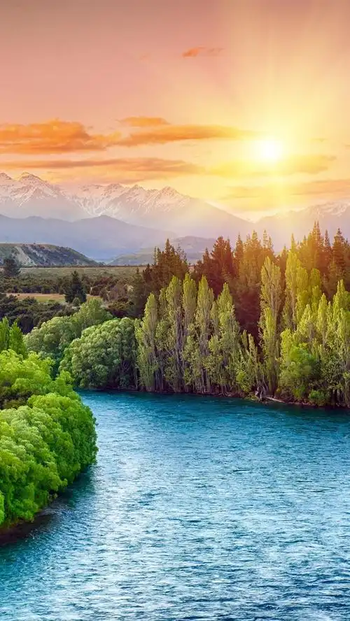 河,树,日落,太阳光线