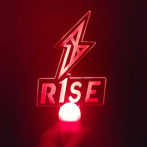 r1se创造营周震南姚琛焉栩嘉翟潇演唱会援手灯牌荧光棒
