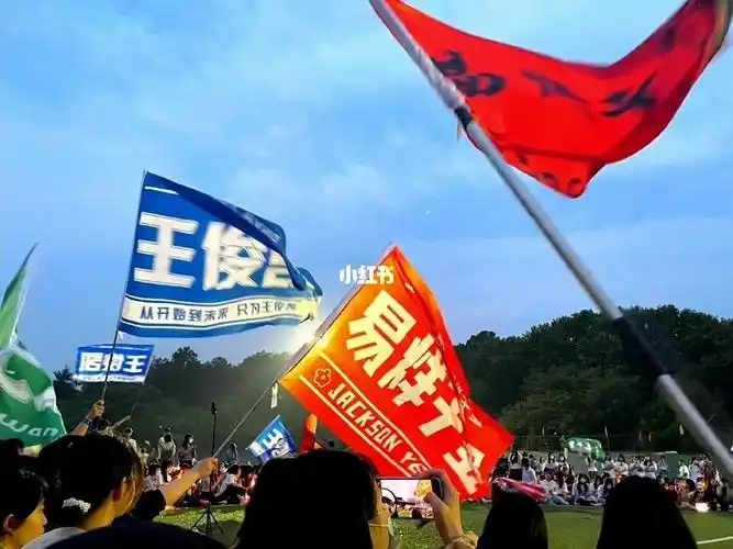 tfboys九周年高校巡回演唱会