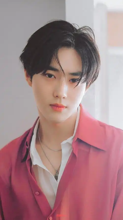 金俊勉,艺名suho