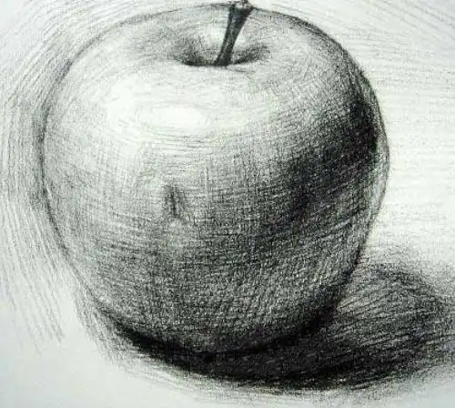 静物素描单体教程素描简单入门图片临摹