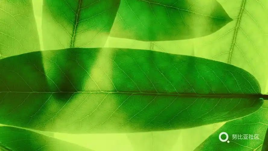 华为宽屏壁纸-玩机互动-牛仔俱乐部-努比亚社区