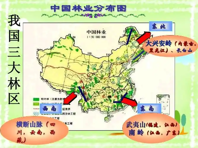 第一节_合理利用土地资源 中国林业分布图    国 三 大 林 区 东北