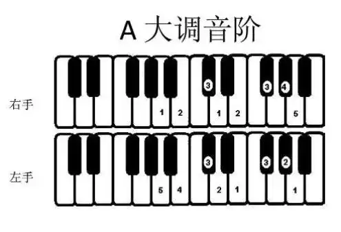 音阶指法规律表