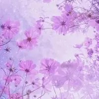 简单好看的暖色调头像图片_微信头像图片大全