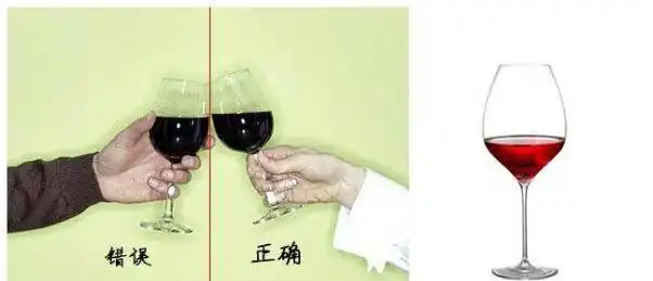 葡萄酒初学者必备知识技能