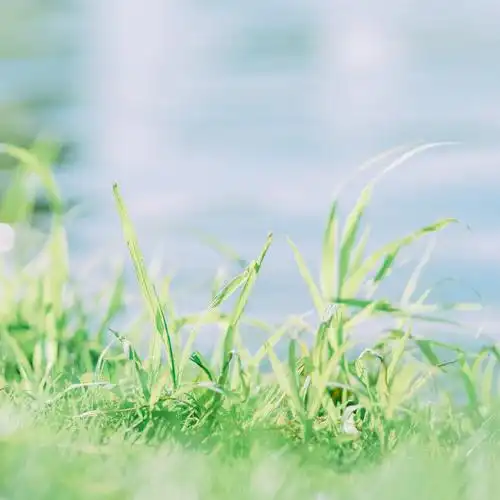 看起来非常清爽的夏日小清新图片