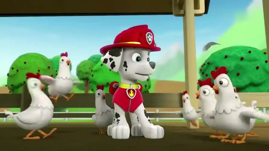 汪汪队立大功:咕咕鸡大冒险,市长在后面追赶,差点掉进了海里!