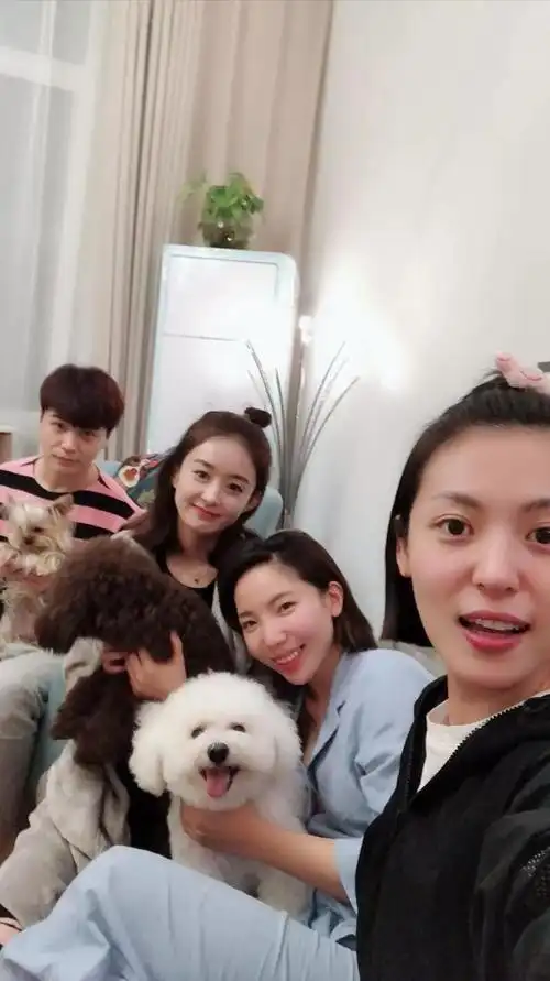 36岁赵丽颖的"豪宅"火了:一人独居,遛狗玩耍,幸福模样藏不住