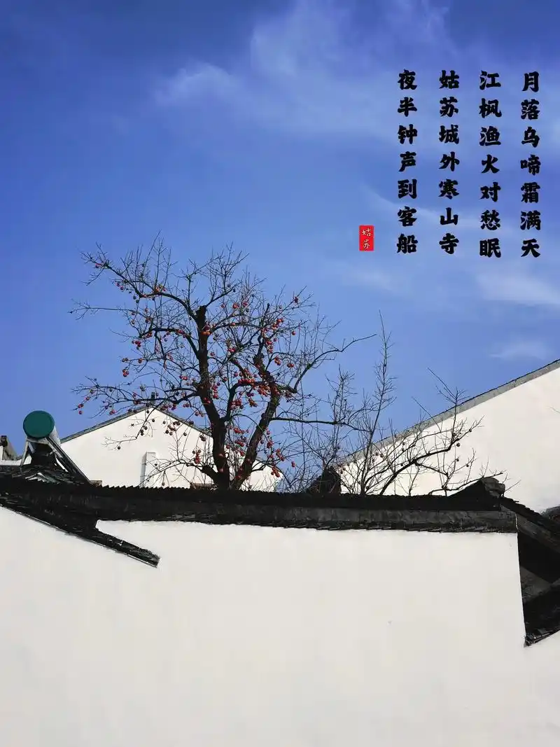 出站即是江南,北寺塔站,抬头便是:"白墙黛瓦江南韵,水墨丹青 - 抖音