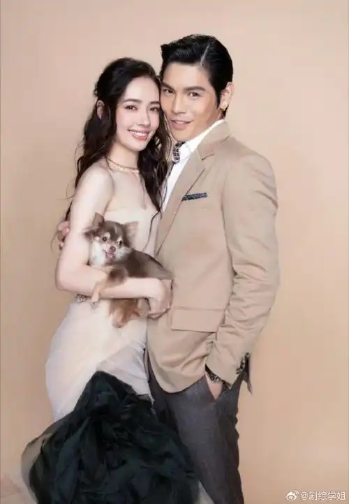 向佐维护郭碧婷