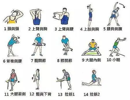 跑步前热身运动