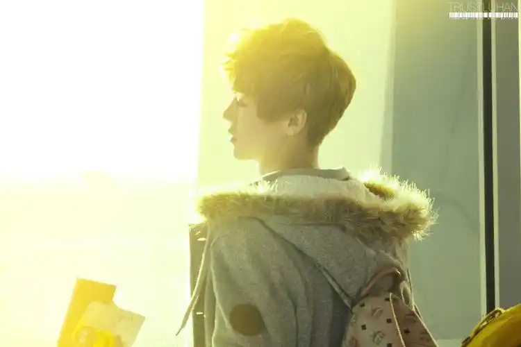 求鹿晗这样的逆光背景图,有一张看不见脸的,完全背影的,很漂亮的,谢谢