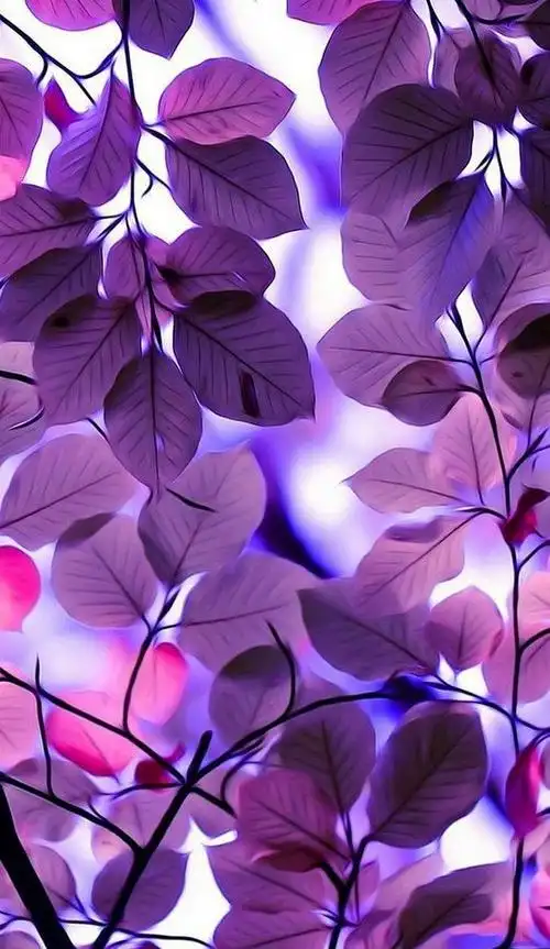 想要紫色系壁纸06