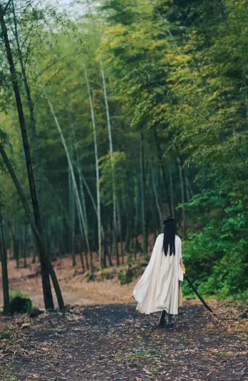 有翡杀青赵丽颖晒周翡背影照不负少年游