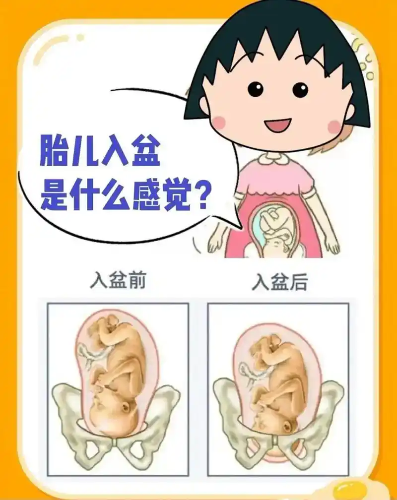 胎儿入盆什么感觉?#抖音图文来了 胎儿入盆~已知男宝一枚,听 - 抖音