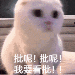 圈里好些个主奴情,都是靠表情包维持的 – 绳师48号