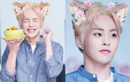 动物系男爱豆,猫系美男金珉锡,恐龙爱豆金钟大,企鹅爱豆都暻秀