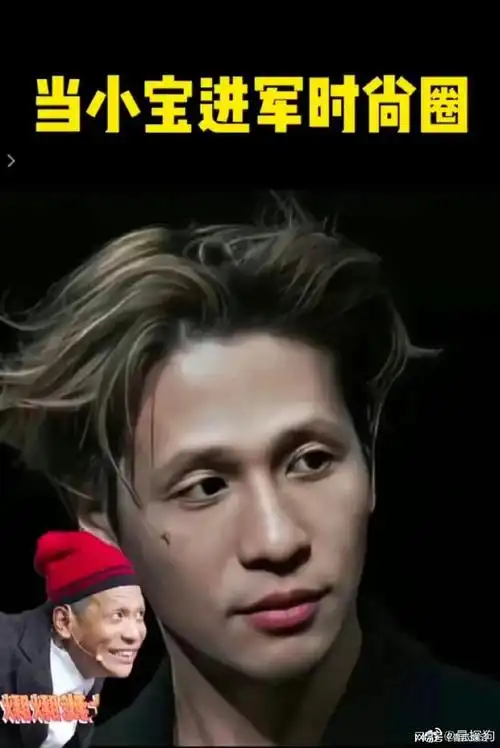 估计连宋小宝也没想到有一天会以这样的方式出现在大众的视野里