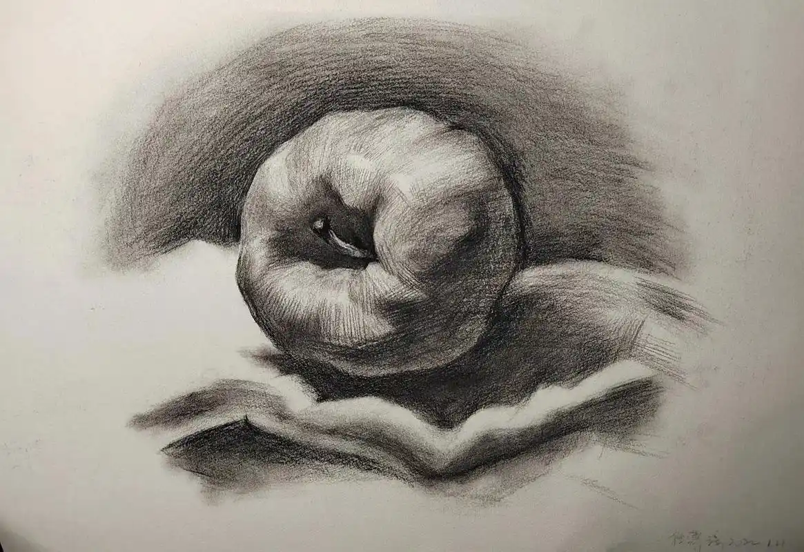 素描初学者,要多加油鸭. - 抖音