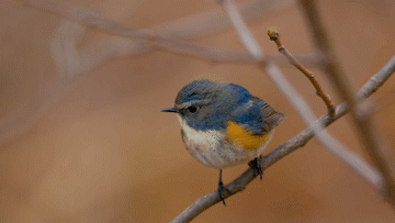 360_203gif 动态图 动图