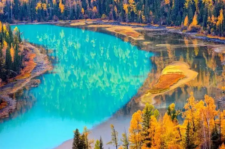 初秋的美景摄影师镜头下的金色年华