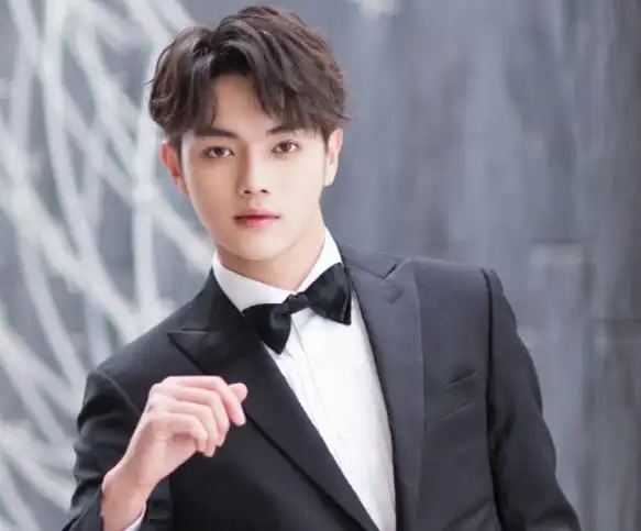 许凯最近消息许凯粉丝们