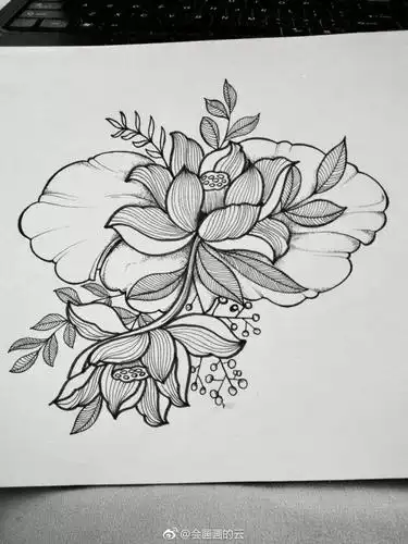 顶级线描花卉,练完这一篇,你的手从此再也不是爪
