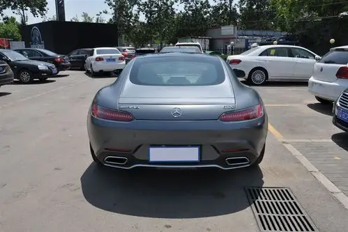 奔驰amg gt正车尾图片
