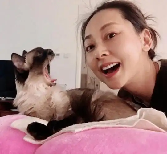 张卫健46岁妻子张茜素颜近照曝光!逆龄生长宛如少女,安心做富太